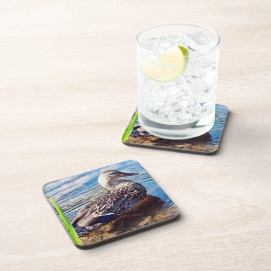 Dabbling Ripples Getränkeuntersetzer (Rechte Seite)
