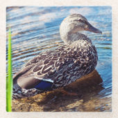 Dabbling Ripples Glasuntersetzer (Vorderseite)