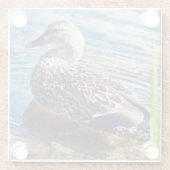 Dabbling Ripples Glasuntersetzer (Rückseite)