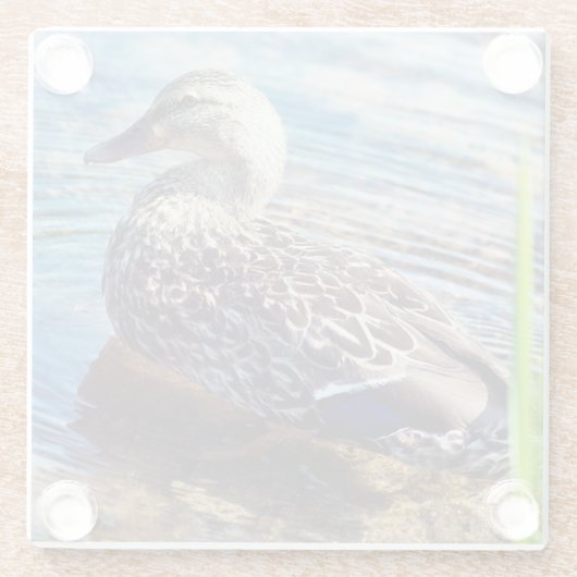 Dabbling Ripples Glasuntersetzer (Rückseite)