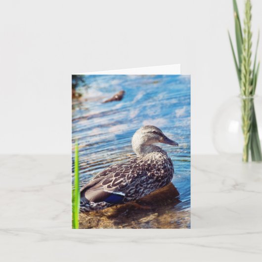 Dabbling Ripples Karte (Vorderseite)