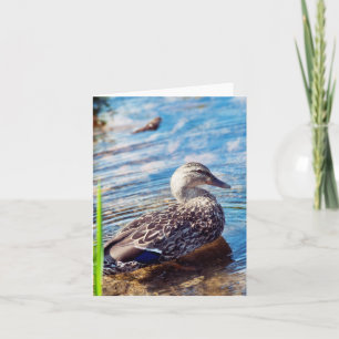 Dabbling Ripples Karte