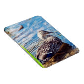 Dabbling Ripples Magnet (Rechte Seite)