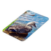 Dabbling Ripples Magnet (Linke Seite)