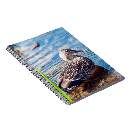 Dabbling Ripples Notizblock (Rechte Seite)