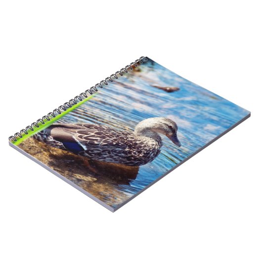 Dabbling Ripples Notizblock (Linke Seite)