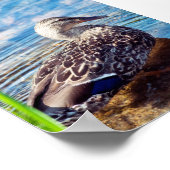 Dabbling Ripples Poster (Ecke)