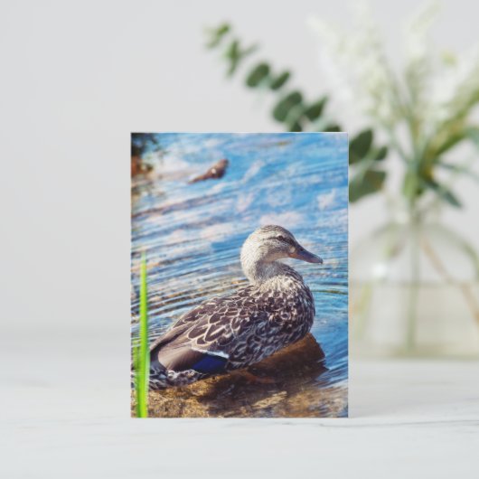 Dabbling Ripples Postkarte (Stehend Vorderseite)