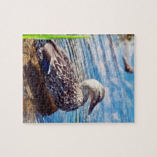 Dabbling Ripples Puzzle (Horizontal)