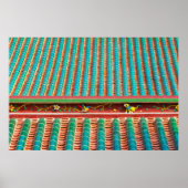 Dach Detail des Südputuo-Tempels Poster (Vorne)