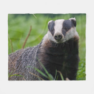 Dachs-Fleece-Decke Fleecedecke