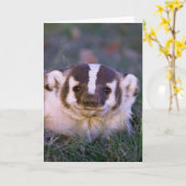 Dachs Karte (Gelbe Blume)