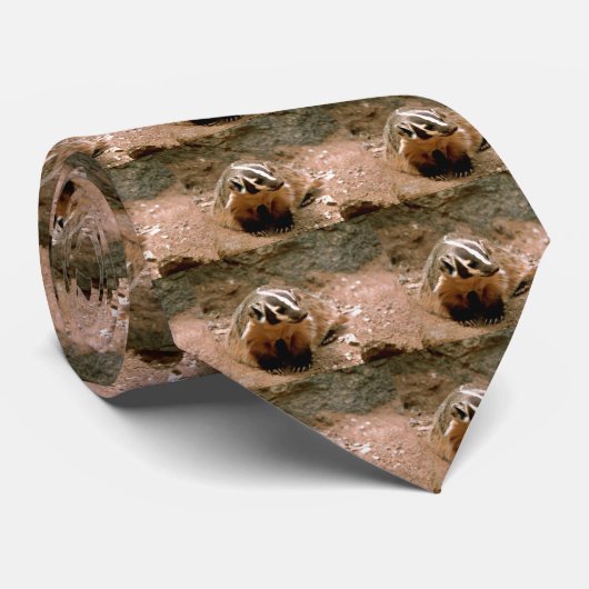 Dachs Krawatte (Gerollt)