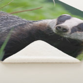 Dachs Sherpa Decke Sherpadecke (3/4)