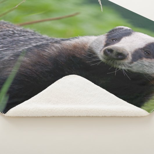 Dachs Sherpa Decke Sherpadecke (3/4)