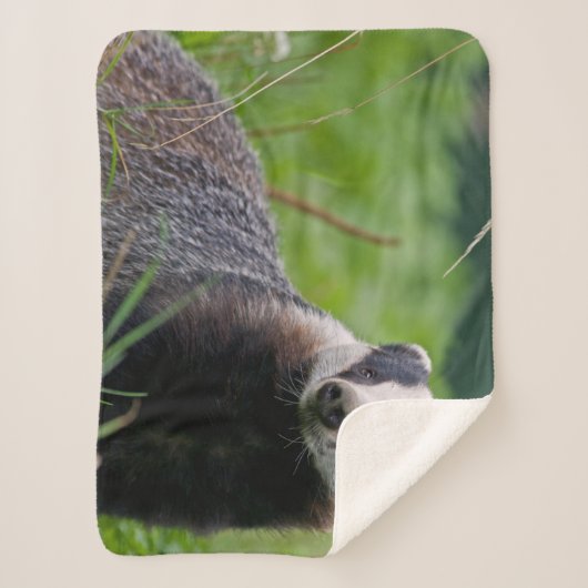 Dachs Sherpa Decke Sherpadecke (Vorderseite)