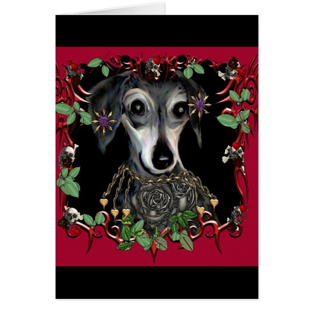 Dachshound Weiner Hund (Vorne)