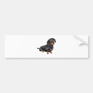 Dachshund (A) - Schwarz und Braun Autoaufkleber