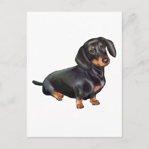 Dachshund (A) - Schwarz und Braun Postkarte