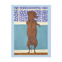 Dachshund am Fenster beim Schneebeobachten