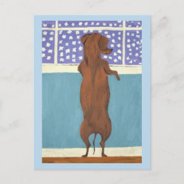 Dachshund am Fenster beim Schneebeobachten Postkarte