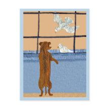 Dachshund am Fenster beobachtet weiße Tauben