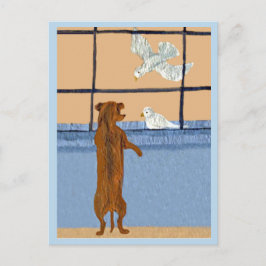 Dachshund am Fenster beobachtet weiße Tauben Postkarte
