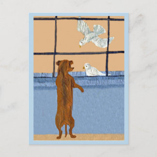 Dachshund am Fenster beobachtet weiße Tauben Postkarte
