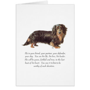 Dachshund-Andenken - Männlich