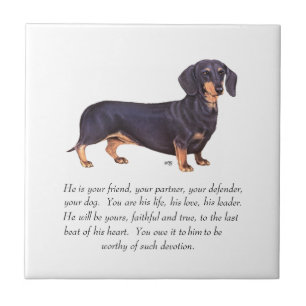 Dachshund-Andenken - Männlich Fliese