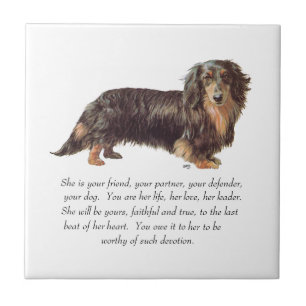 Dachshund-Andenken - Weiblich Fliese