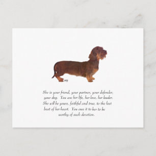 Dachshund-Andenken - Weiblich Postkarte