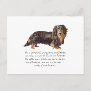 Dachshund Andenken - Weiblich Postkarte