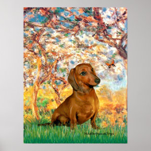 Dachshund (braun1) - Frühling Poster