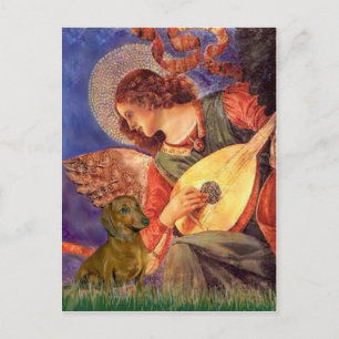 Dachshund (braun1) - Mandolin Engel Postkarte