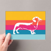 Dachshund by colorful stripes acryleinladungen (Insitu (Handheld))