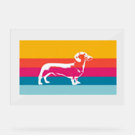 Dachshund by colorful stripes acrylschild