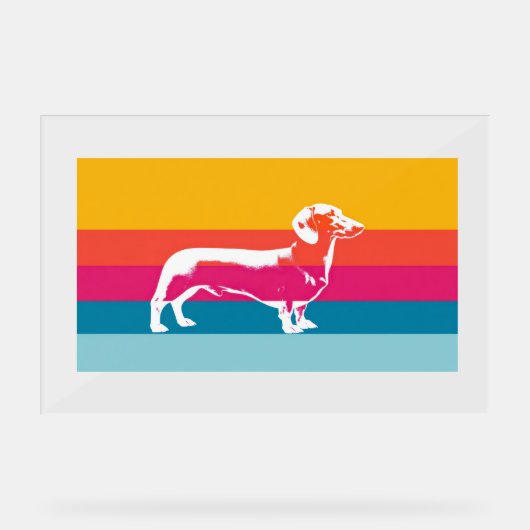 Dachshund by colorful stripes acrylschild (Vorderseite)