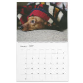 Dachshund Calendar Dog 2026 Photo Kalender (Jan 2027)