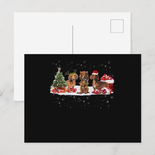 Dachshund christmas lights gift for her postkarte (Vorne/Hinten)