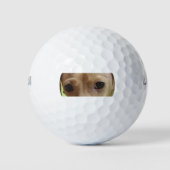 Dachshund Creme Augen Golfball (Vorderseite)