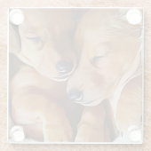 Dachshund Cute Sleeping Dachshund Puppies Birthday Glasuntersetzer (Rückseite)