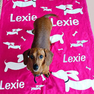 Dachshund-Decke Rosa Personalisiert Doxie Geschenk Fleecedecke