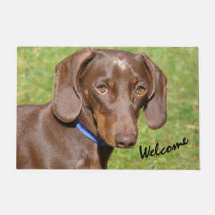Dachshund doormat fußmatte