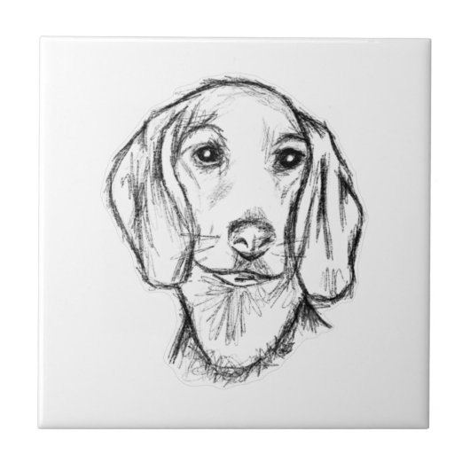 Dachshund Drawn Sketch Black Puppy Dog Fliese (Vorderseite)