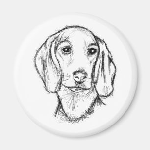 Dachshund Drawn Sketch Black Puppy Dog Magnet