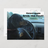 Dachshund-Driven Postcard Postkarte (Vorne/Hinten)