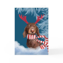 Dachshund durch den Schnee