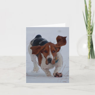 Dachshund fasten karte