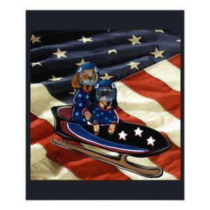 DACHSHUND  FOTODRUCK